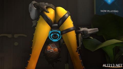 都进行了调 都进行了调